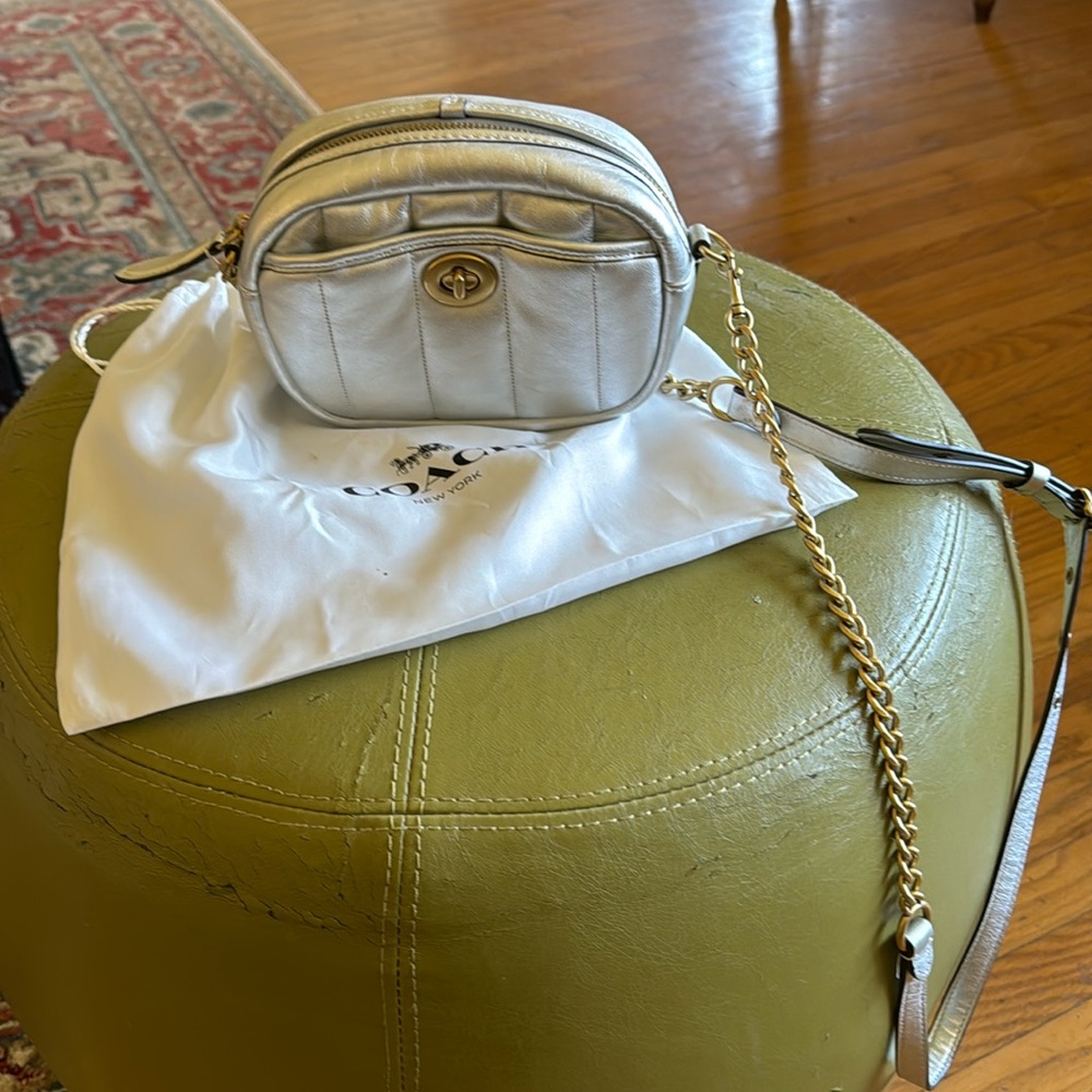 Lovely Silver Metallic Cross Body adjustable